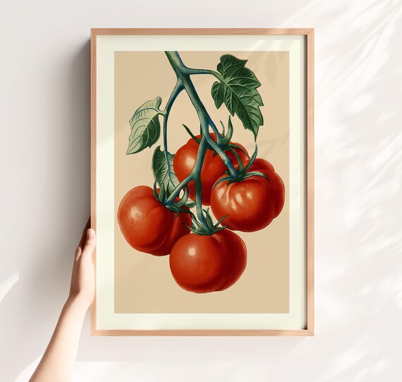 Vintage Tomato Botanical Illustration Vine Rustic Kitchen Wall Poster