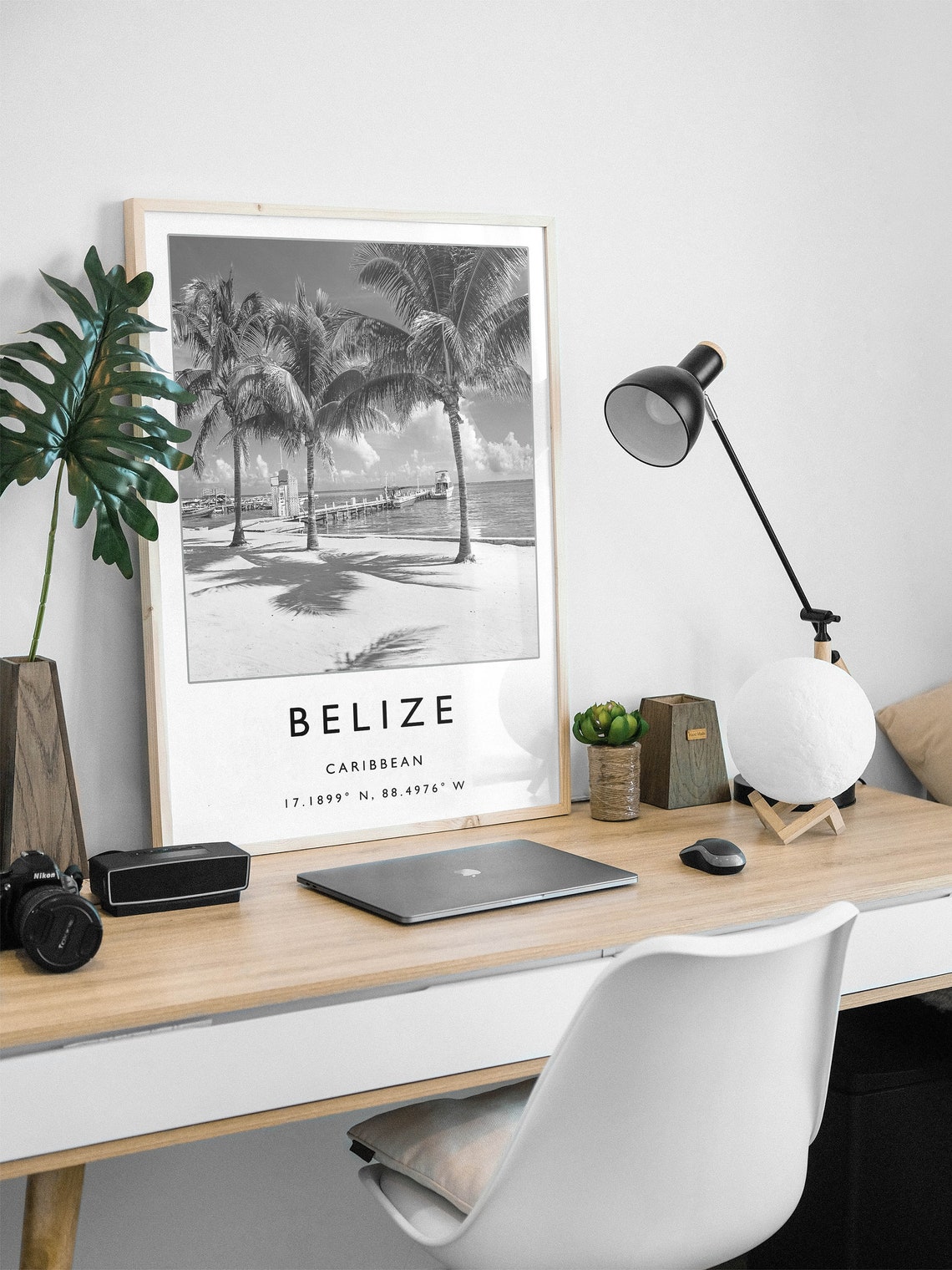 Belize Caribbean Black and White Palm Beach Photography Poster - Image 2