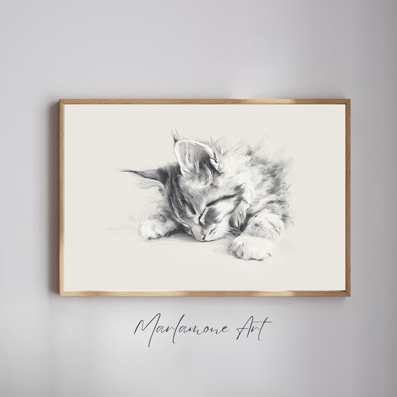 Sleeping Kitten Pencil Sketch Black And White Cat Art Nursery Poster