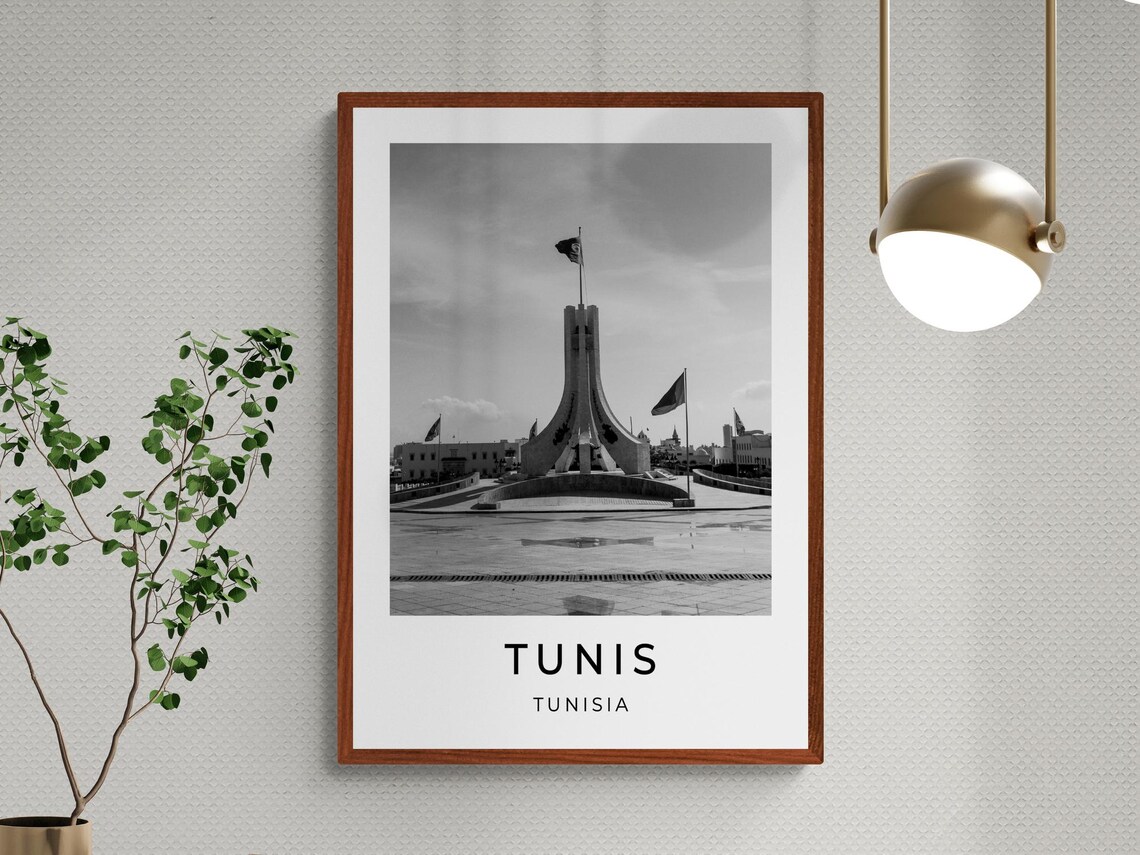 Tunis Tunisia National Monument Flags Plaza Monochrome Travel Poster - Image 3