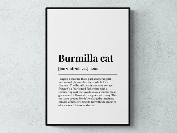 Burmilla Cat Funny Definition Print Humorous Cat Lover Dictionary Wall Art