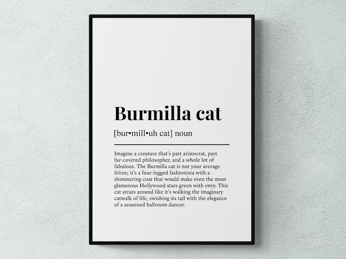 Burmilla Cat Funny Definition Breed Print Feline Lover Gift Wall Art Poster