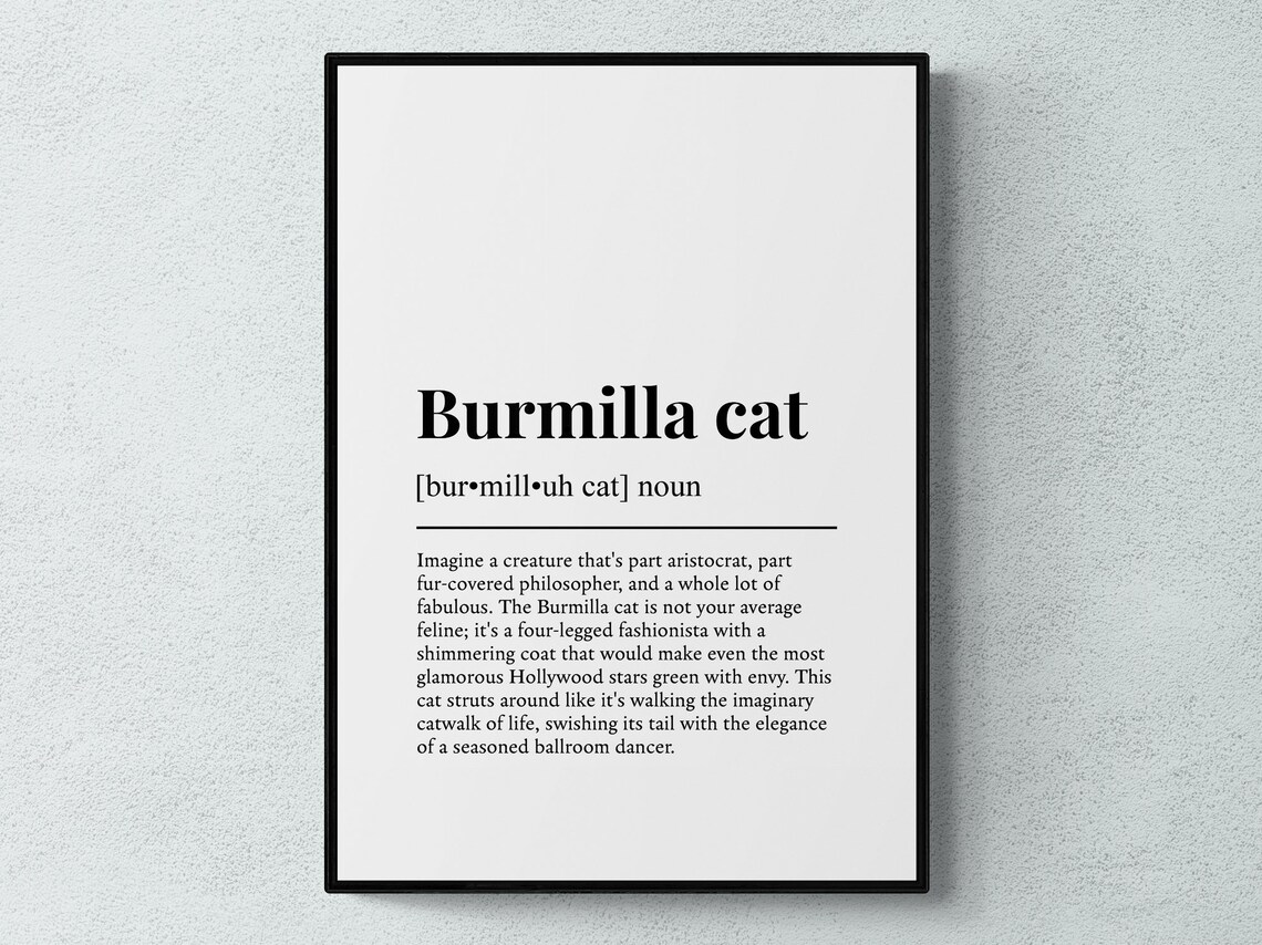 Burmilla Cat Funny Definition Print Humorous Cat Lover Dictionary Wall Art