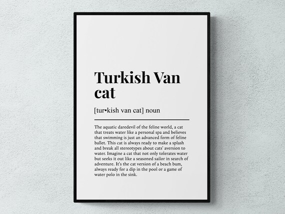 Turkish Van Cat Funny Dictionary Definition Cat Breed Lover Poster