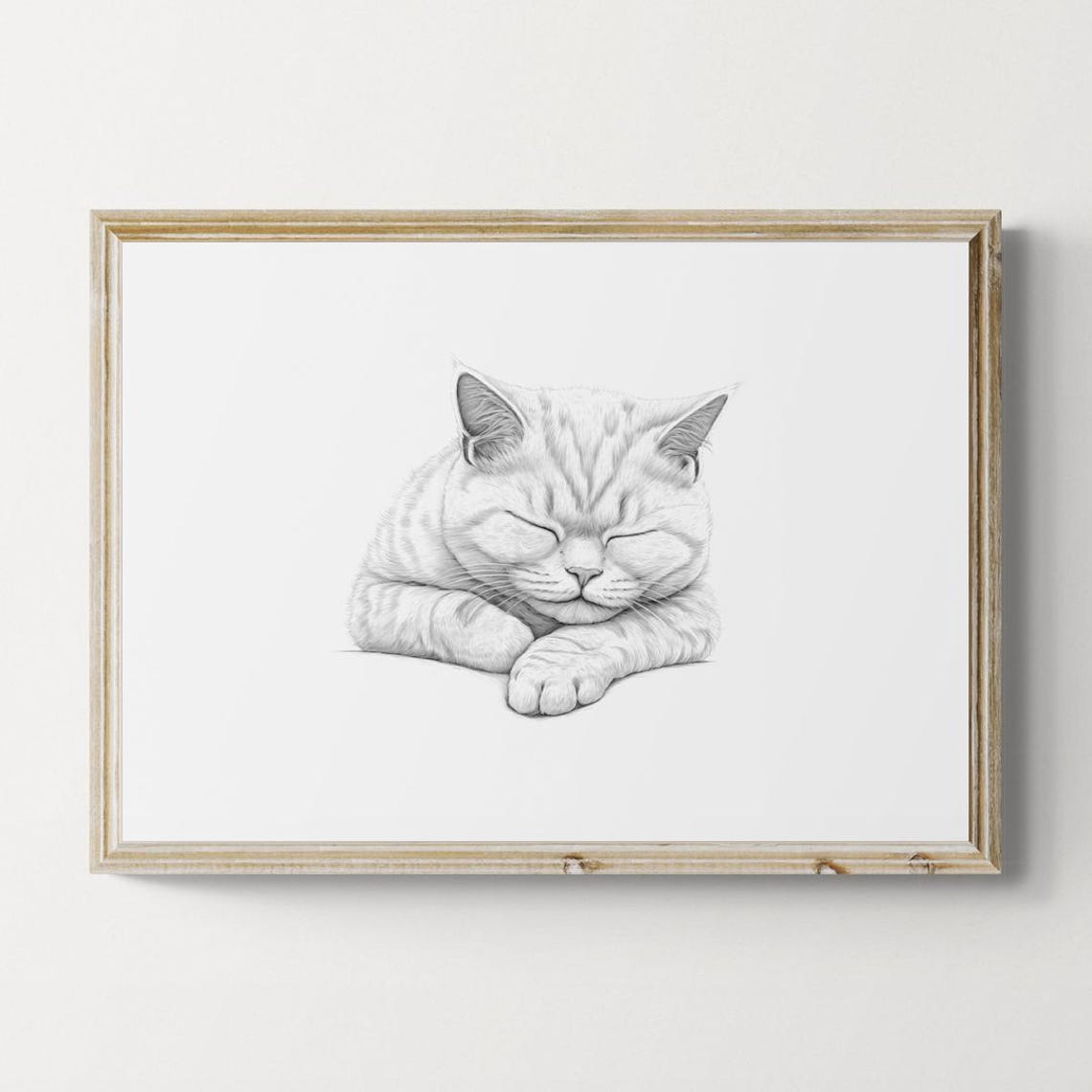 Sleeping British Shorthair Cat Sketch Black White Cobby Kitten Print