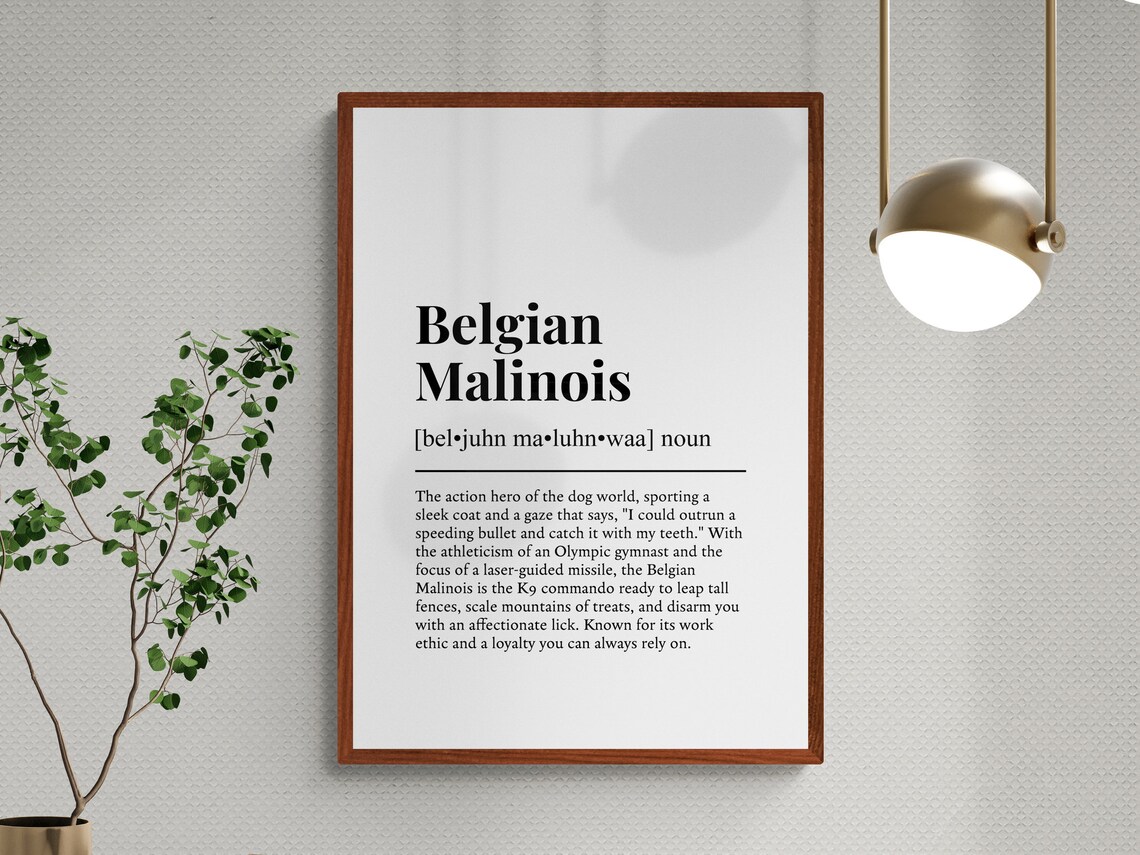 Belgian Malinois Funny Definition Art Print - Image 2