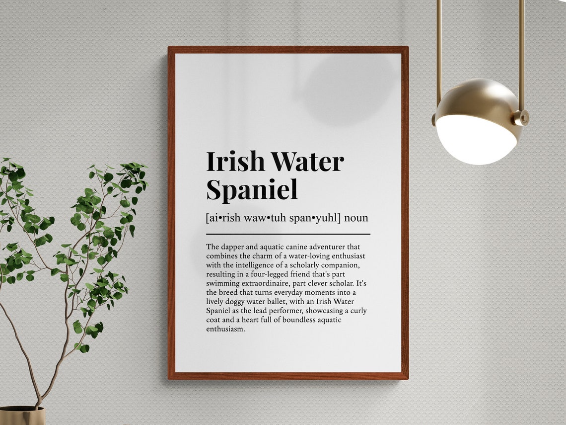 Irish Water Spaniel Dog Dictionary Definition Black White Poster - Image 3
