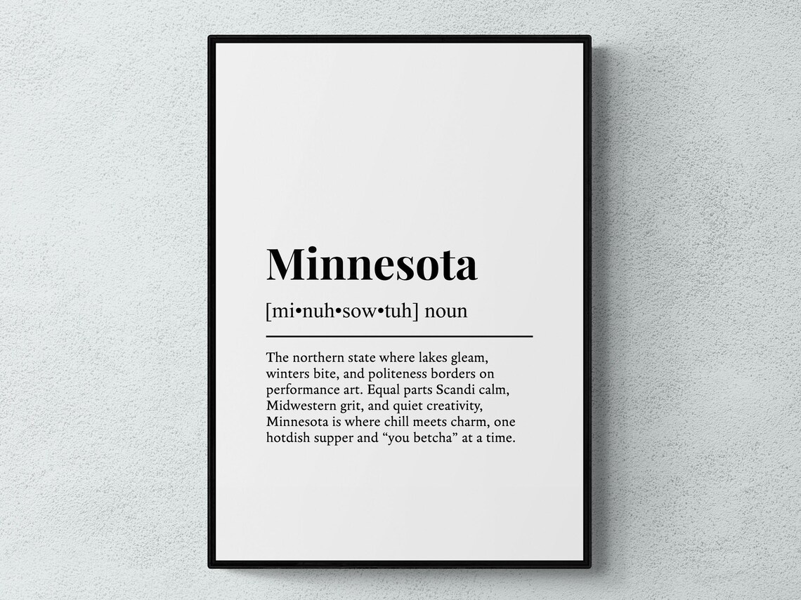 Minnesota Funny Definition USA Gift Art Print