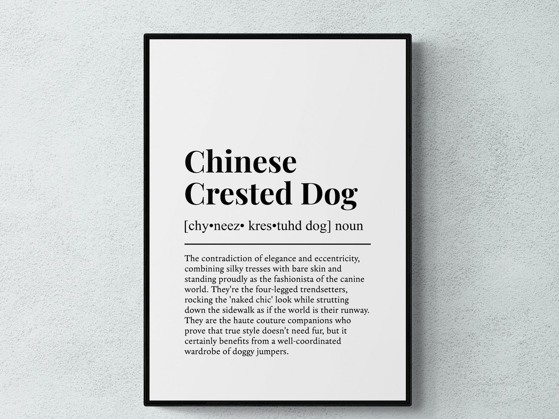 Chinese Crested Dog Funny Dictionary Definition Black White Poster
