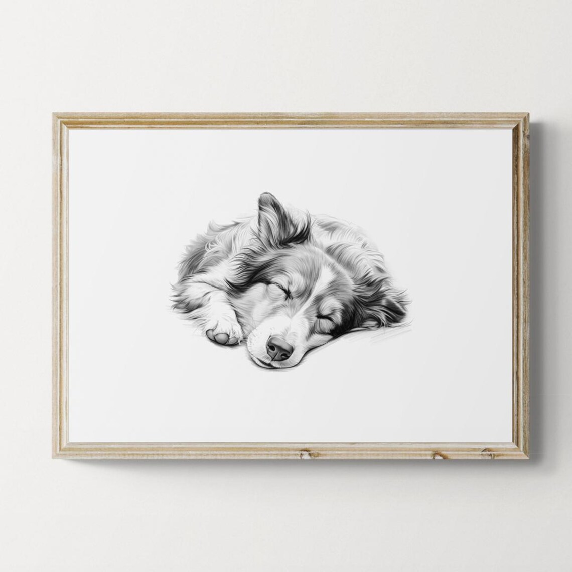 Shetland Sheepdog Sleeping Vintage Pencil Sketch Dog Breed Wall Art
