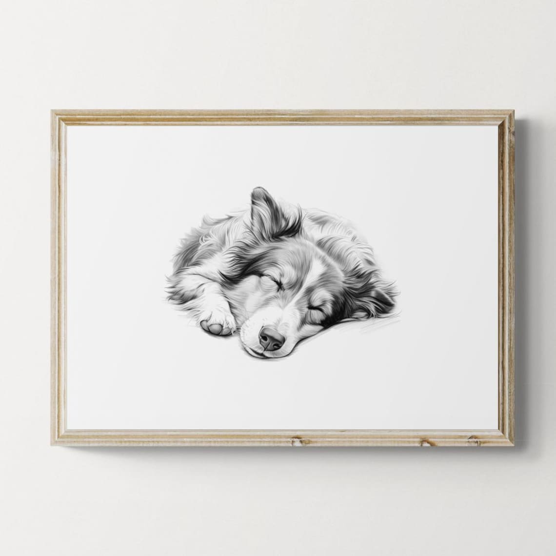 Sleeping Shetland Sheepdog Pencil Sketch Farmhouse Dog Portrait Print