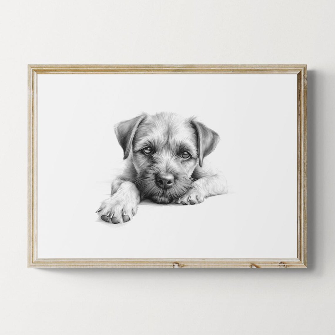 Border Terrier Puppy Wiry Country Terrier Pencil Sketch Portrait Print