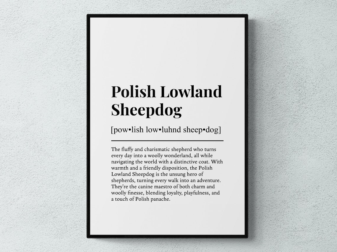 Fluffy Polish Lowland Sheepdog Funny Dictionary Definition Poster