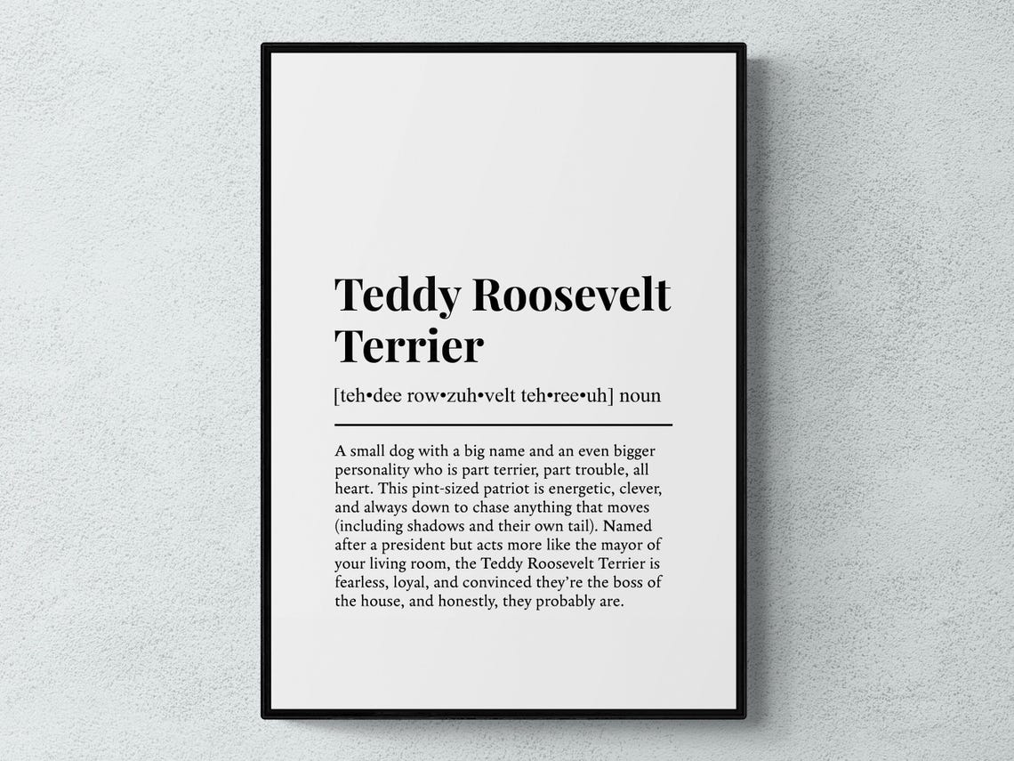 Teddy Roosevelt Terrier Funny Dictionary Definition Print for Fans