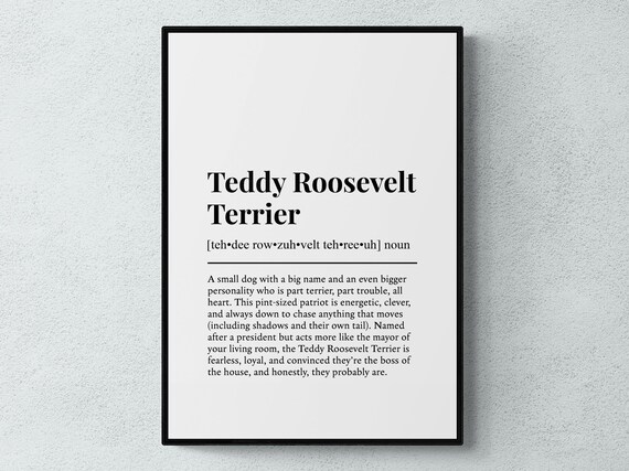 Teddy Roosevelt Terrier Funny Definition Dog Wall Art Print