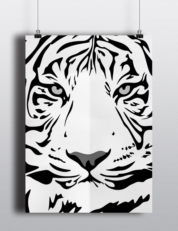 White Tiger Face Close Up Black and White Line Illustration Poster