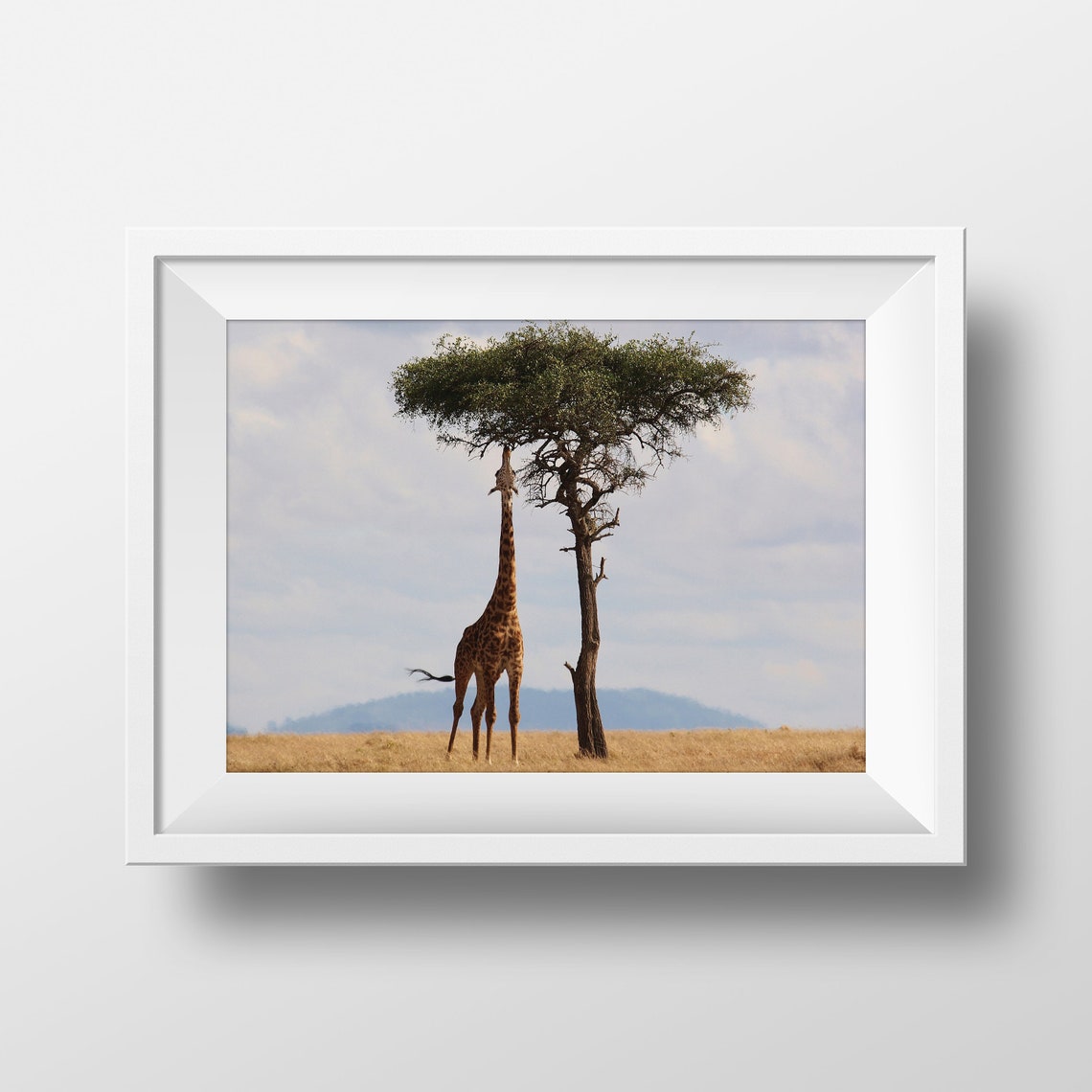 Giraffe Print Giraffe Photography African Print African Decor Cute African Wall Art Africa Decor Africa Poster Africa Photography Art - Image 2