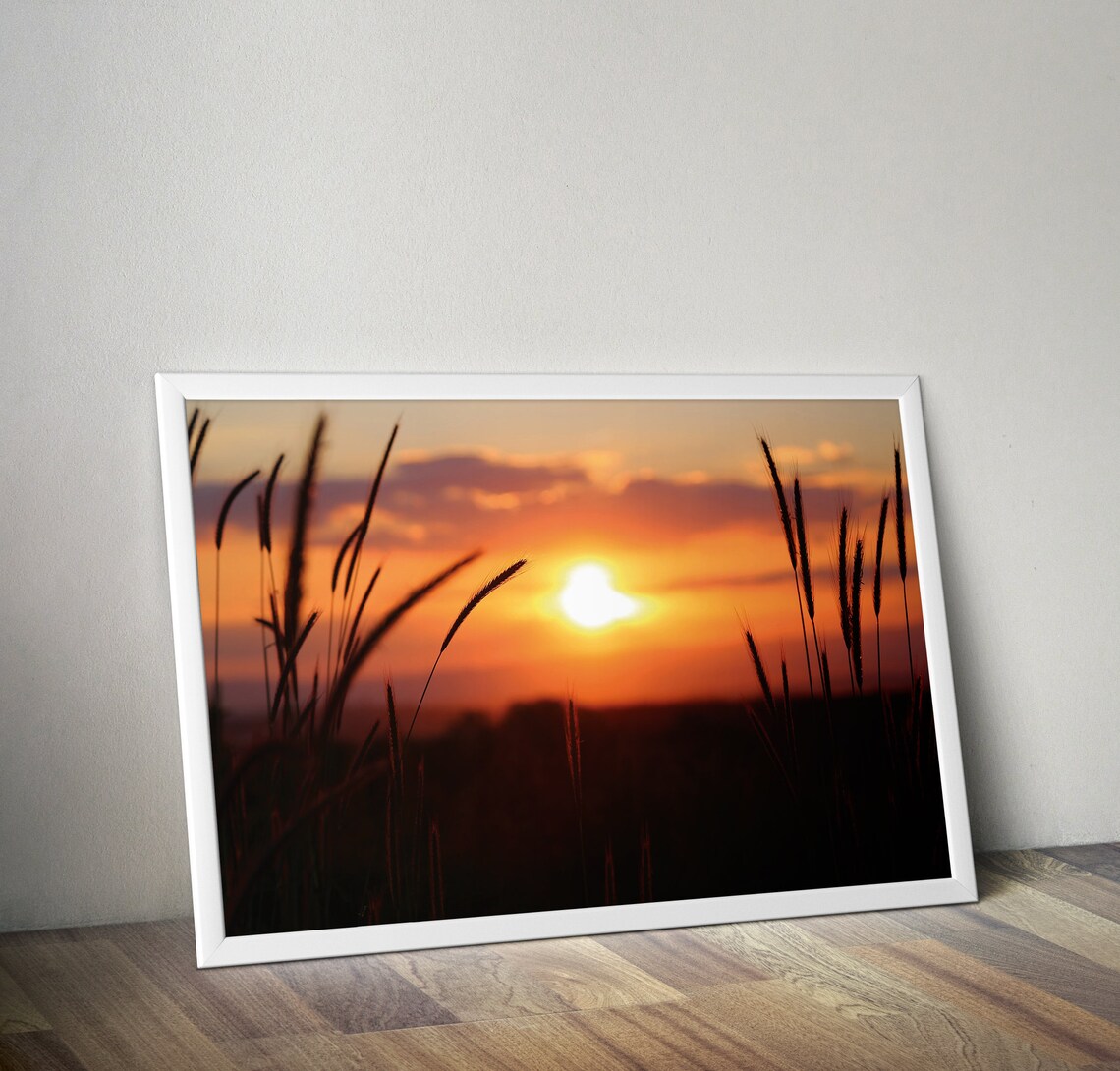 Golden Sunset Over Grass Field Silhouette Warm Sky Photo Poster - Image 2