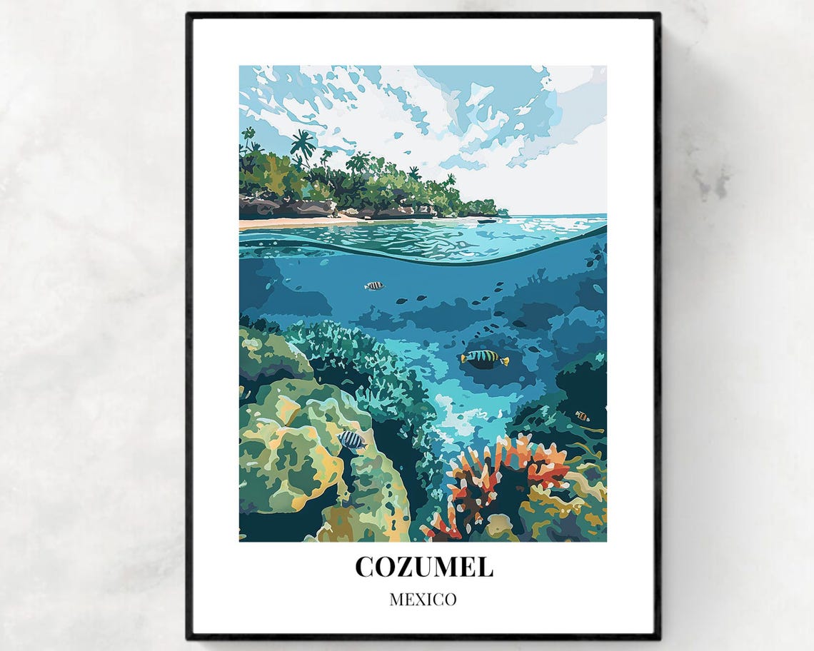 Cozumel Mexico Coral Reef Underwater World Split View Poster