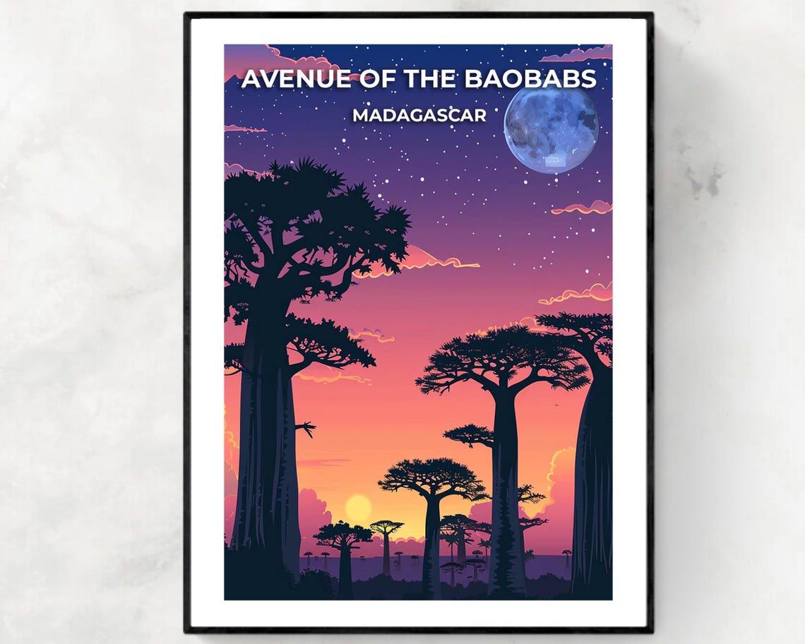 Avenue of the Baobabs Madagascar Moonlit Night Starry Sky Poster