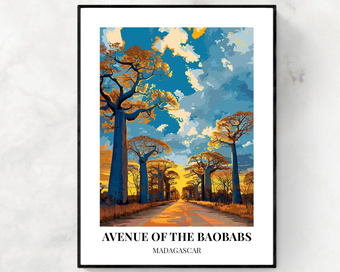 Avenue of the Baobabs Madagascar Daytime Road Tall Trees Poster