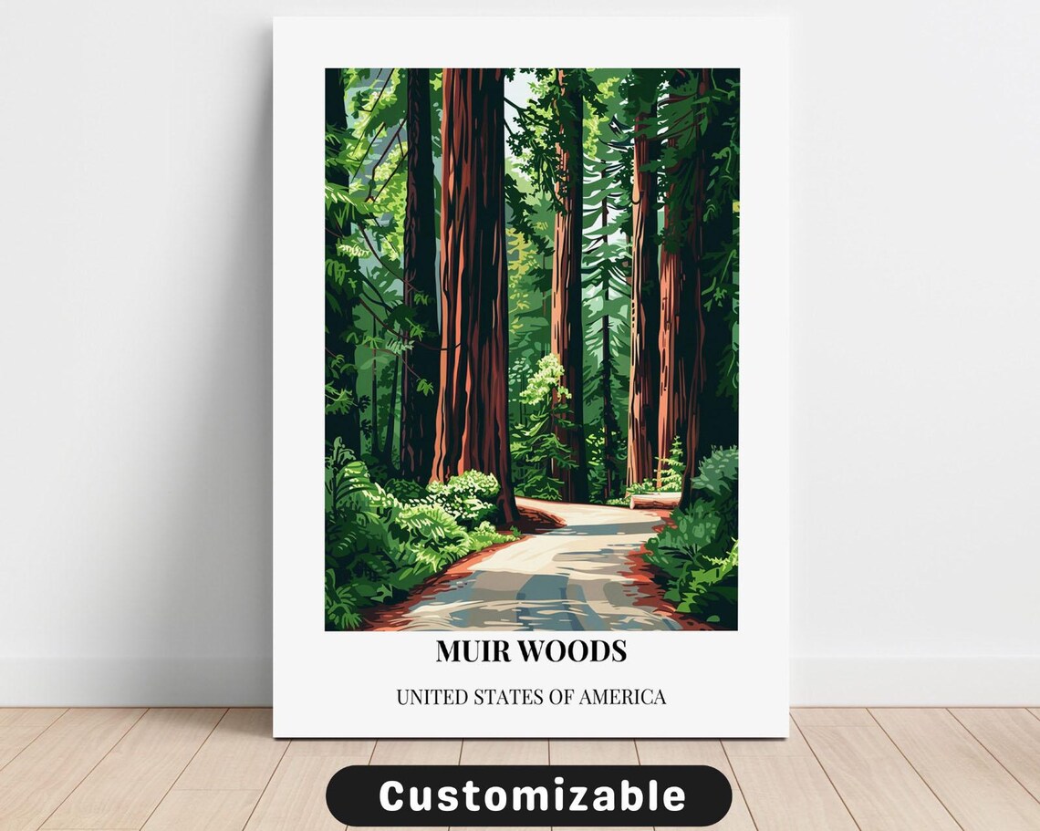 Muir Woods California Towering Redwoods Vintage Travel Poster