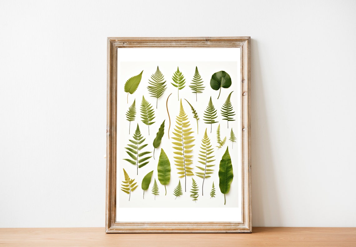 Fern Species Botanical Chart Green Leaves Vintage Study Poster - Image 2