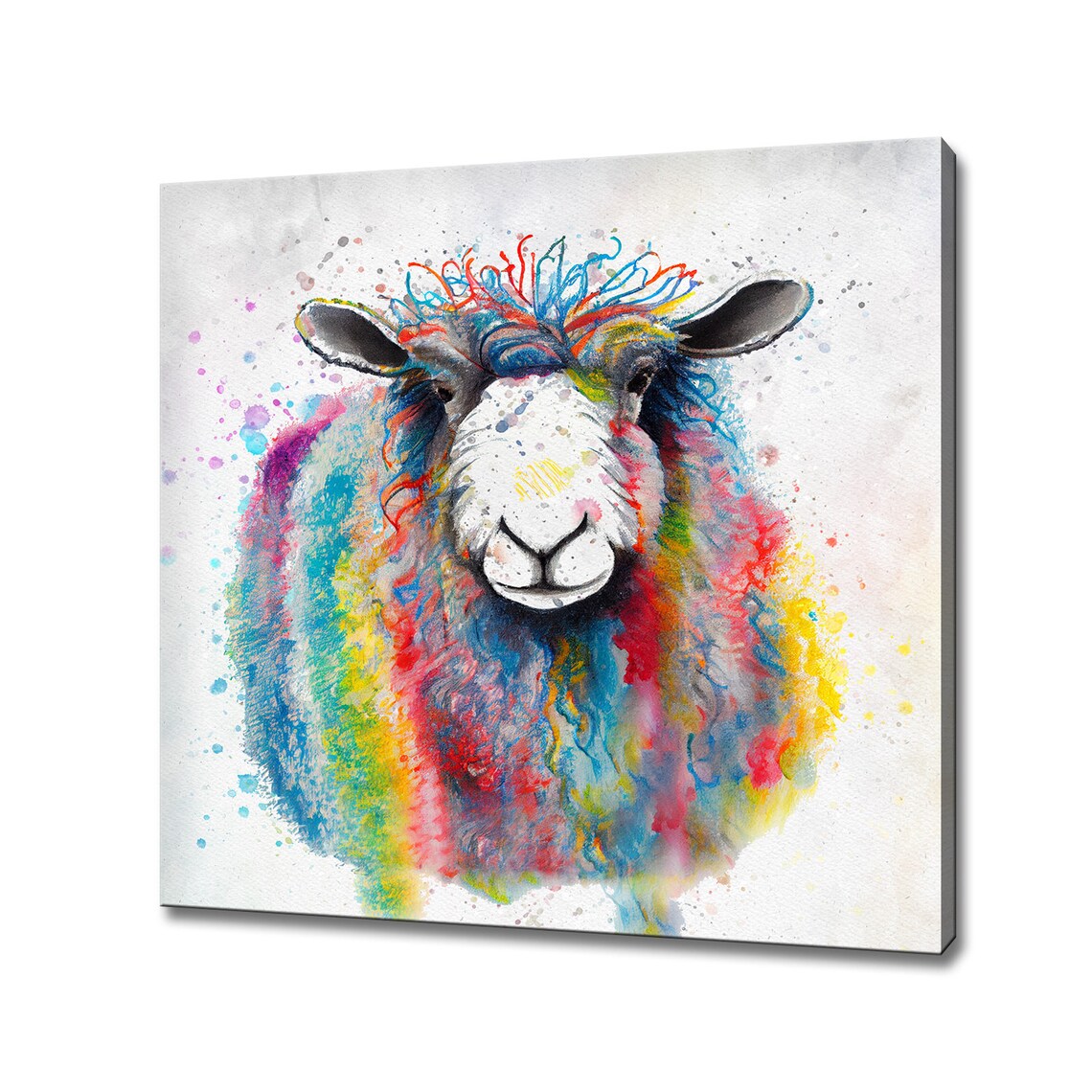 Wooly Sheep Abstract Watercolor Farm Art Print