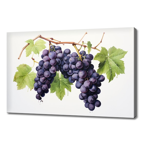 Purple Grapes Fruits Watercolour Painting Print Fruits Lover Gift Kitchen Restaurant Wall Art Print Colourful Fruits Wall Decor