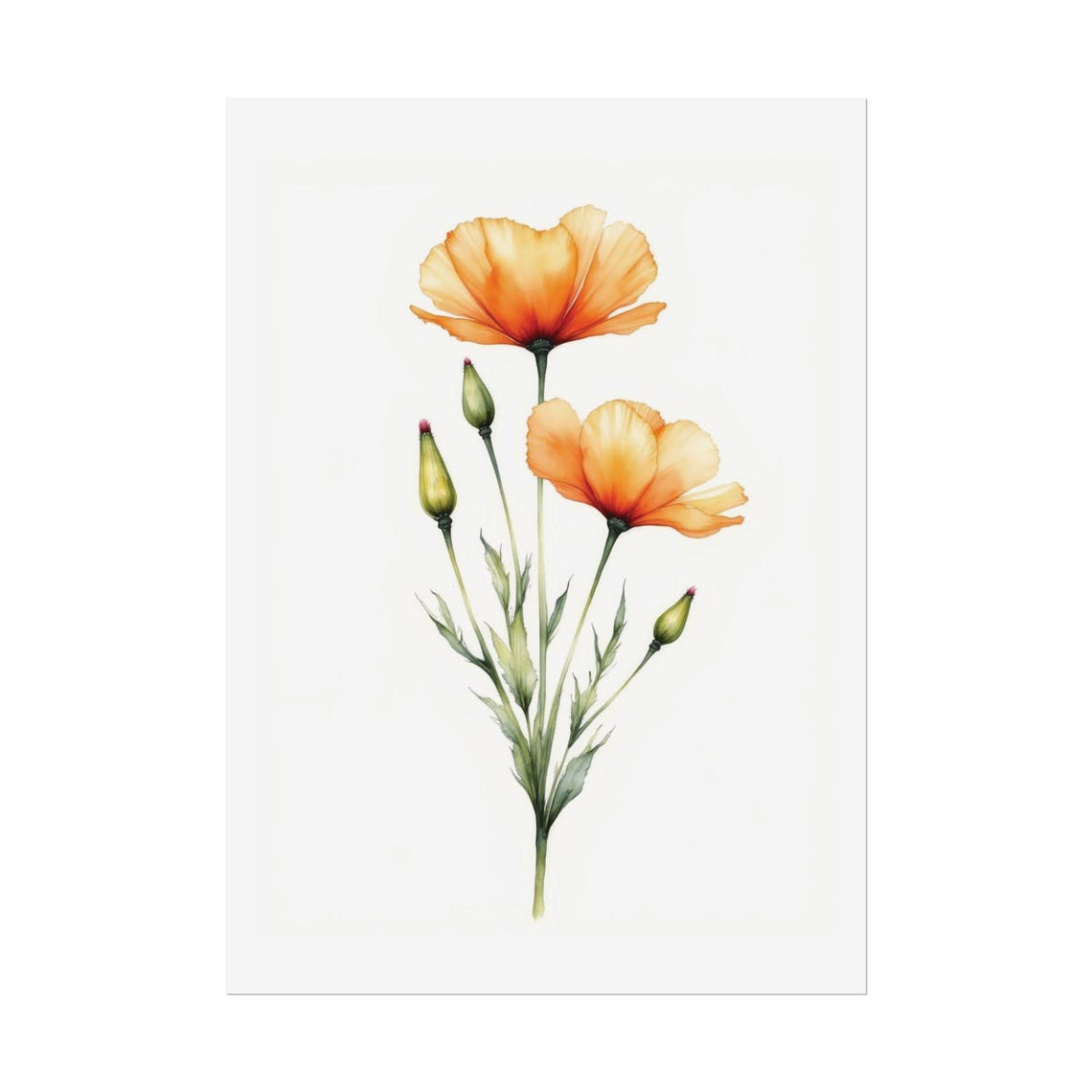 Golden California Poppies Minimalist Watercolor Bloom Art Poster
