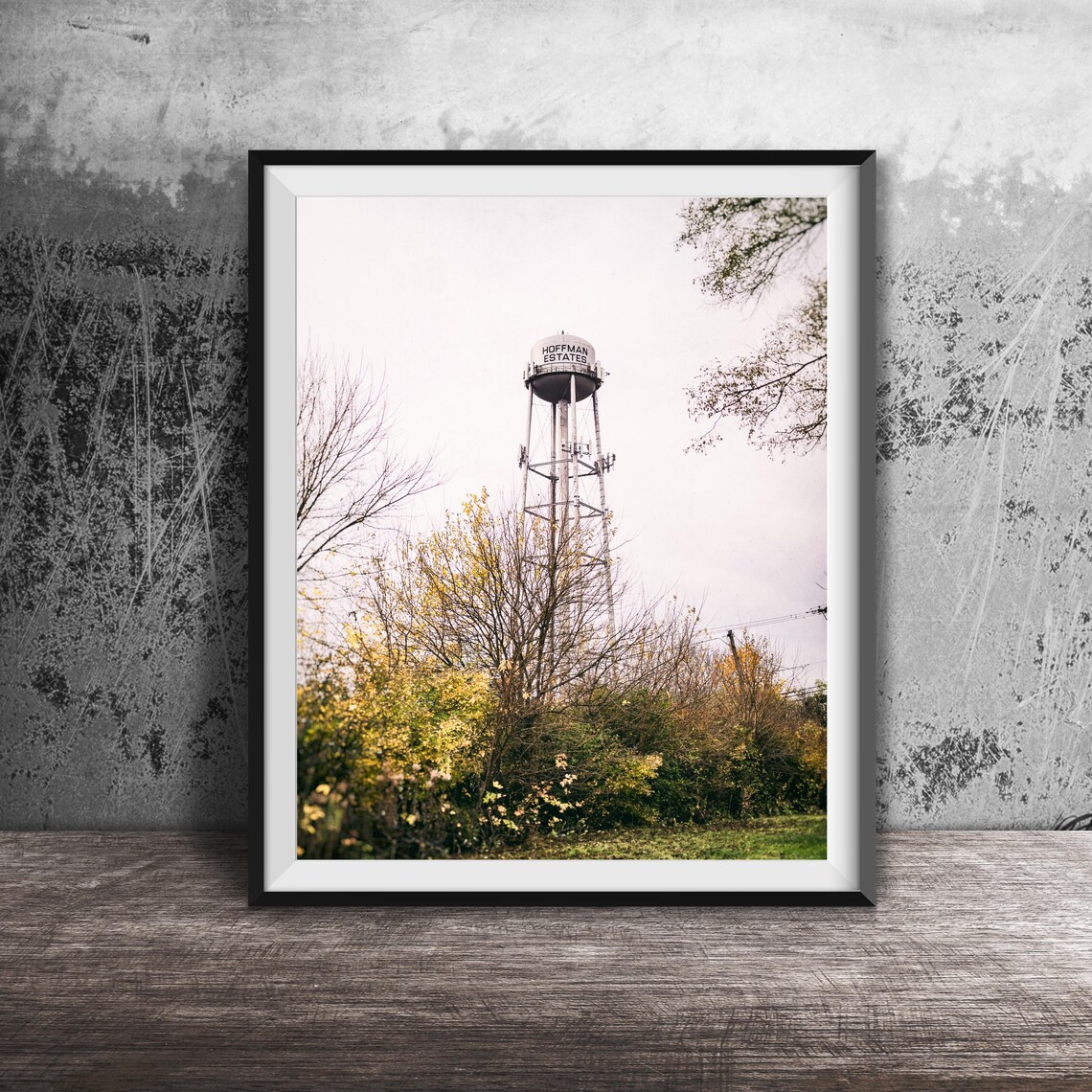 Hoffman Estates Water Tower Among Autumn Trees Photography Poster