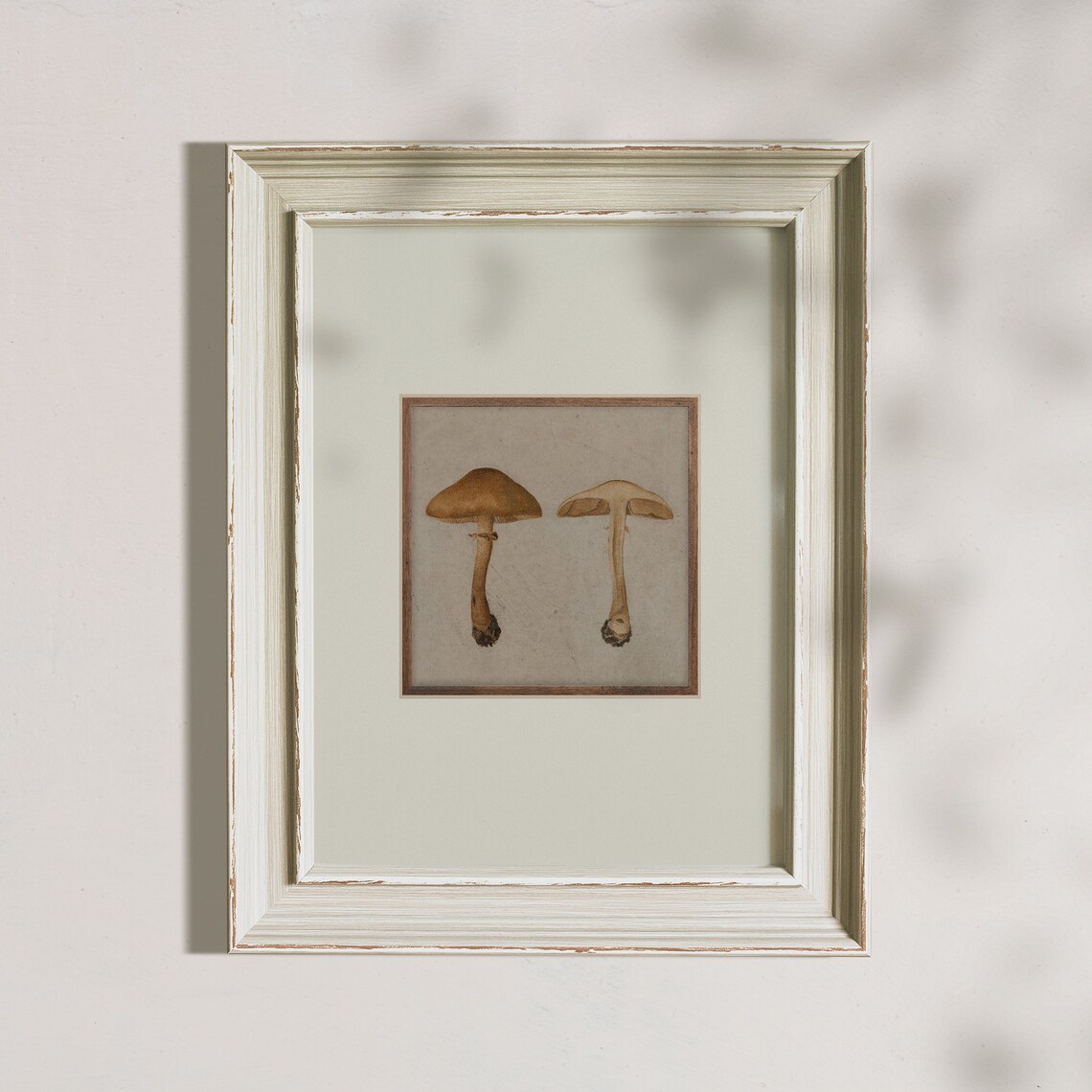 Vintage Mushroom Botanical Study Antique Fall Fungi Pair Naturalist Poster - Image 7