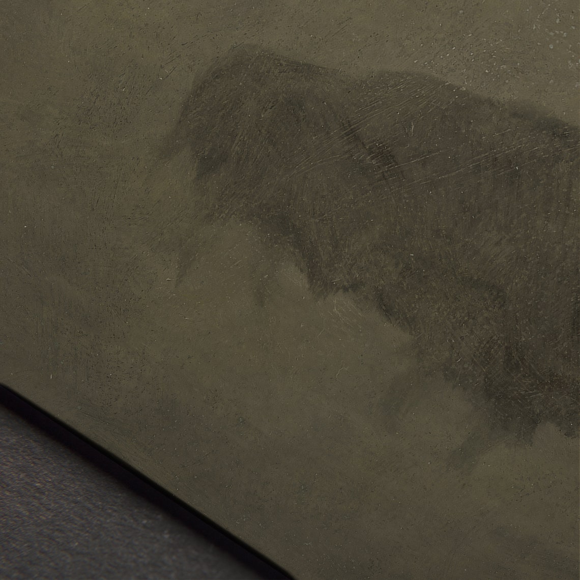 Bison Silhouette on Dark Earthy Background Minimal Animal Poster - Image 6