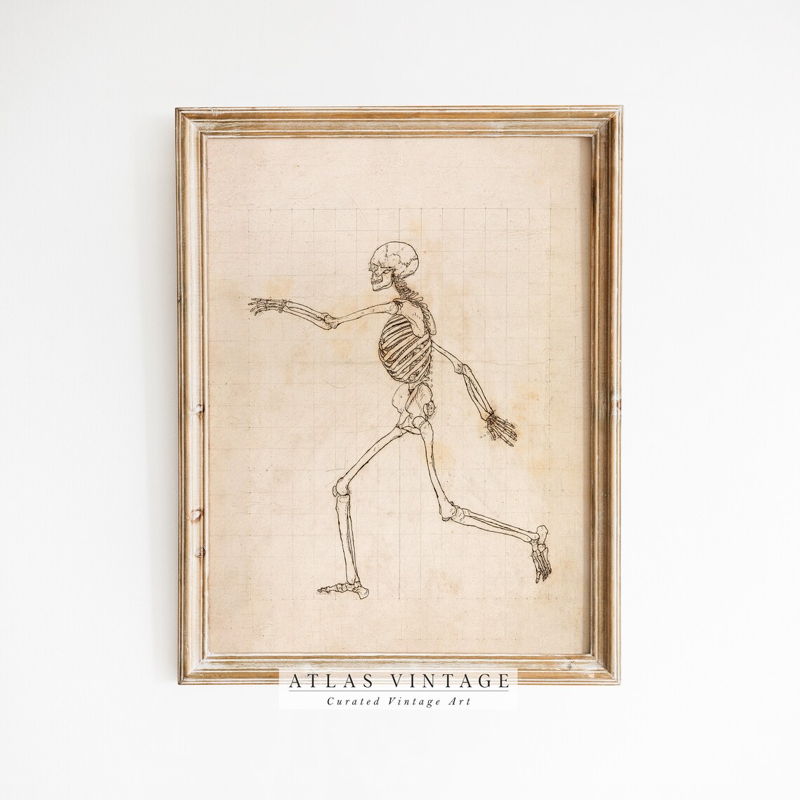 Walking Human Skeleton Anatomy Line Sketch Gothic Halloween Dark Poster - Image 7