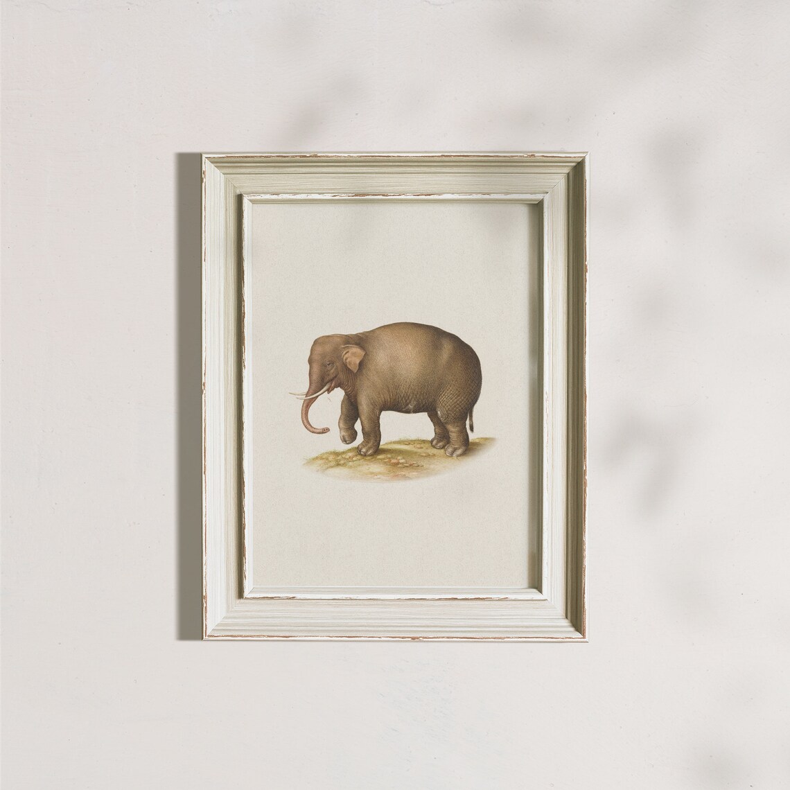 Antique Elephant Illustration Vintage Safari Animal Drawing Poster - Image 7