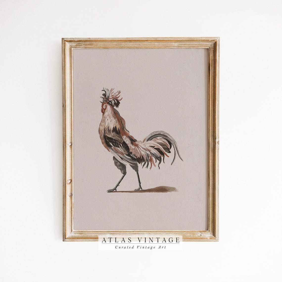 Vintage Rooster Illustration Antique Farm Bird Minimal Neutral Print