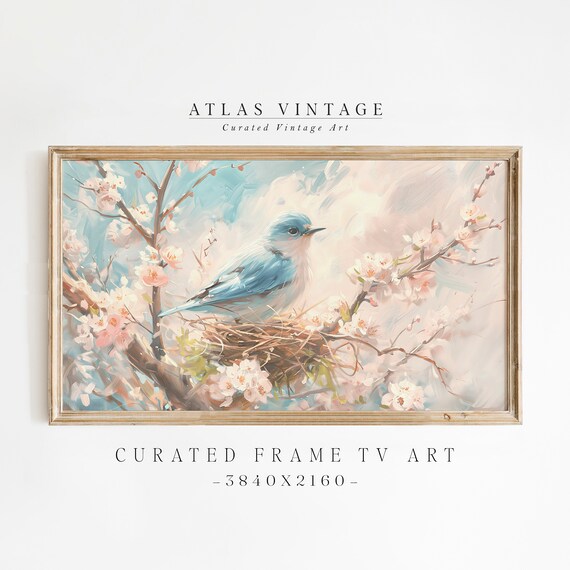 Vintage Spring Bluebird Cherry Blossom Nest Antique Bird Art Poster