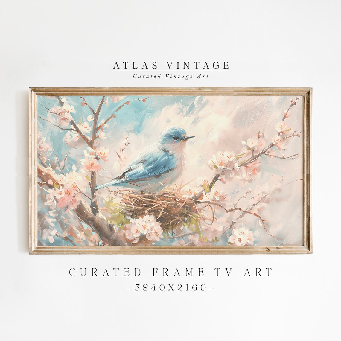 Vintage Spring Bluebird Cherry Blossom Nest Antique Bird Art Poster