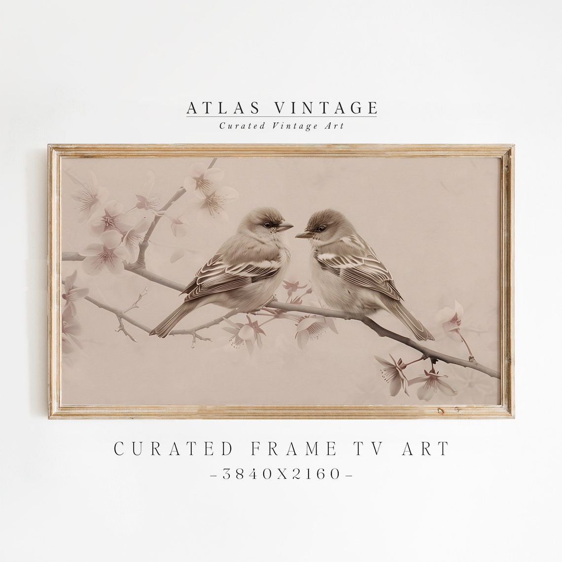 Spring Love Birds Cherry Blossom Branch Vintage Pencil Art Poster