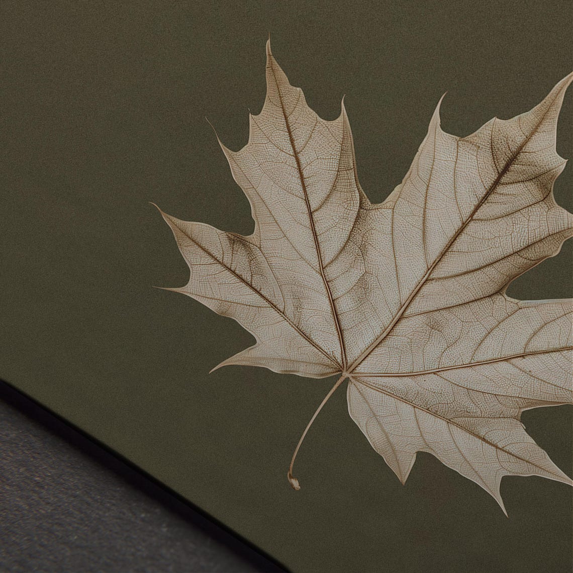 Antique Maple Leaf Skeleton Dark Botanical Vintage Fall Poster - Image 5