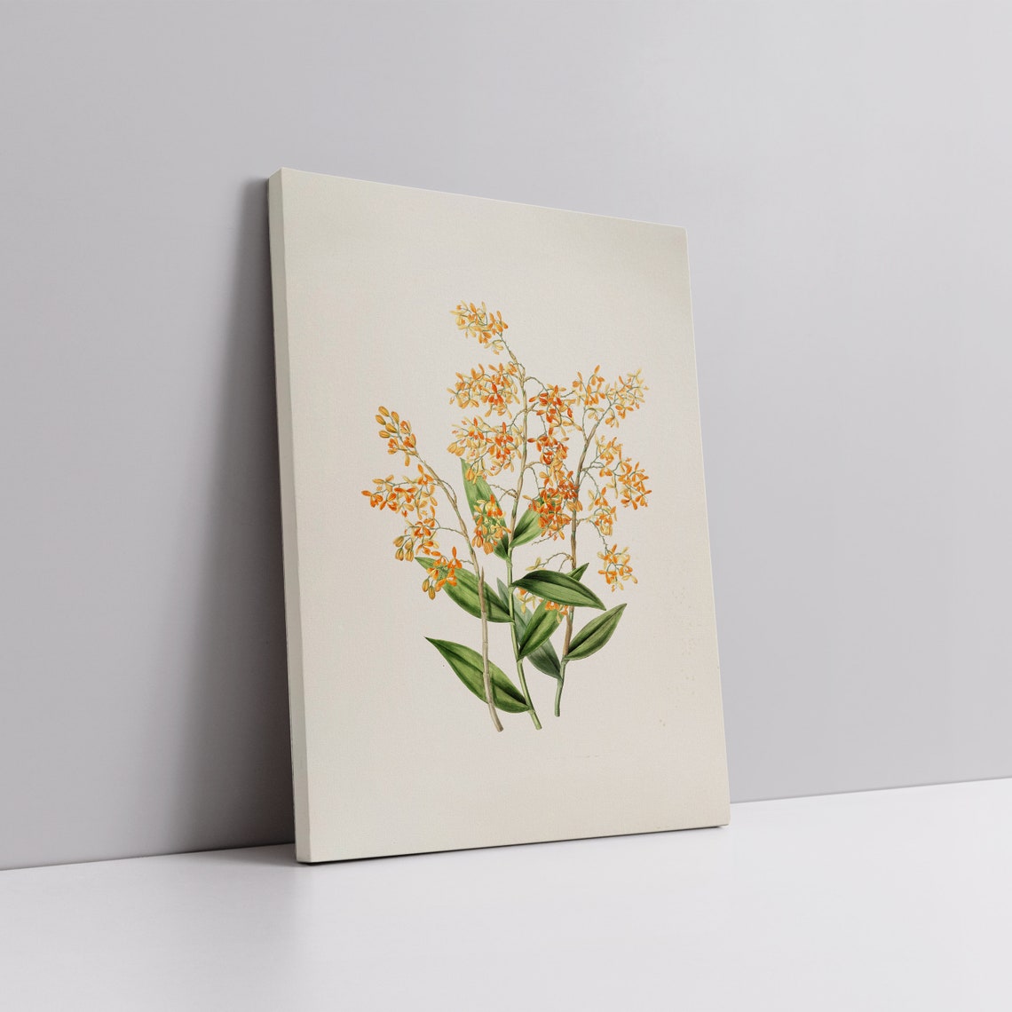 Antique Golden Floral Botanical Study Cream Background Art Poster - Image 5