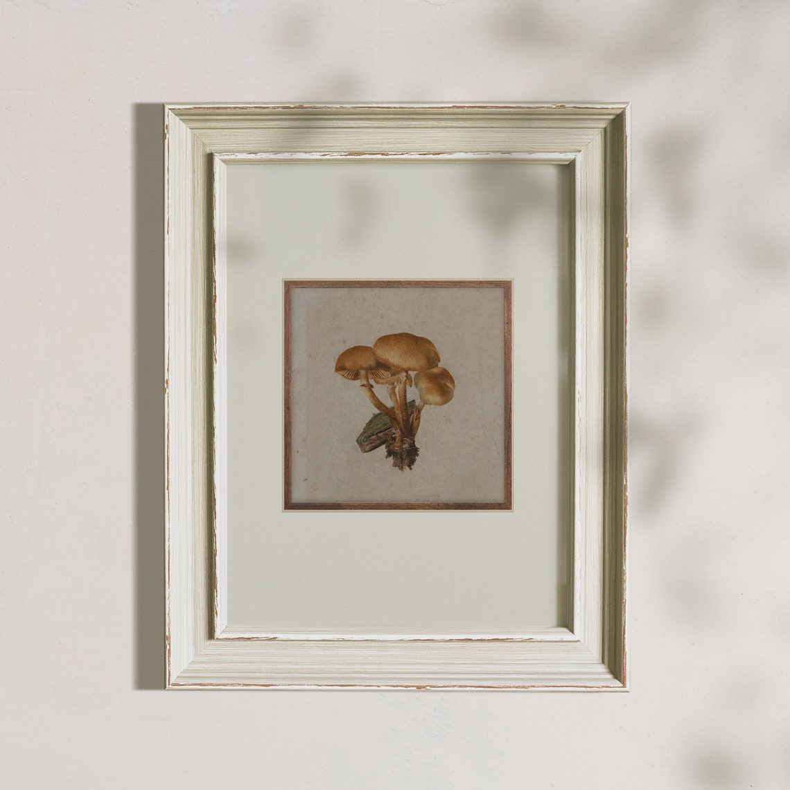 Antique Mushroom Cluster Botanical Vintage Mycology Art Poster - Image 6