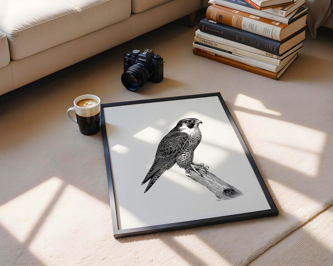 Falcon Perched Branch Black White Engraving Style Bird Poster - Image 6
