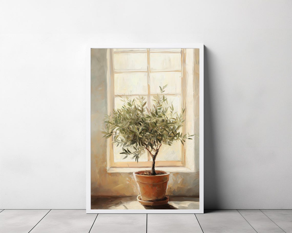 Large Olive Tree In Terracotta Pot By A Sunlit Window Poster - Image 3