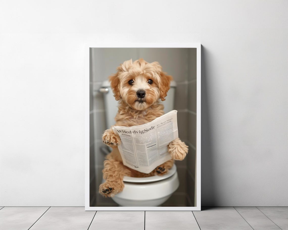 Curly Cockapoo Reading the Morning Paper on Toilet Humor Print - Image 3