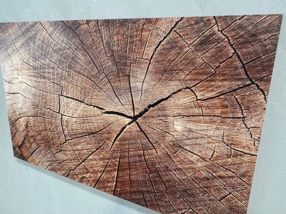 Tree Ring Wall Art Trendy Canvas Contemporary Decor Wood Crack Brown Abstract Nature Printed