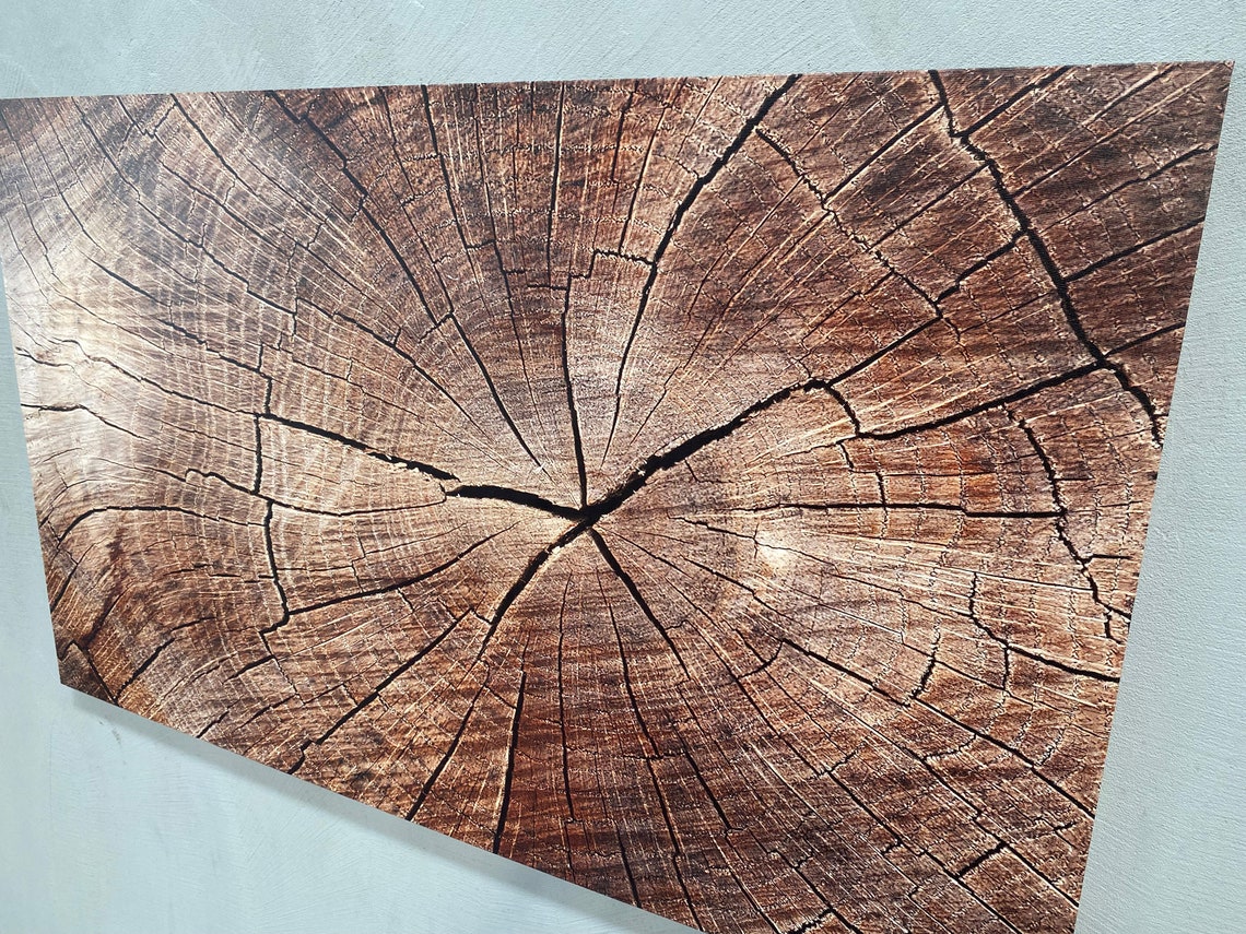 Tree Ring Cross Section Cracked Wood Grain Rustic Nature Poster