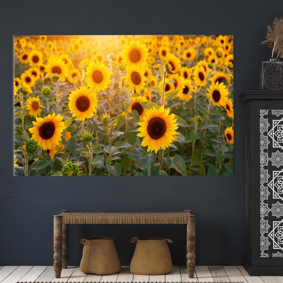 Sunflower Field Golden Hour Bloom Floral Photography Canvas Print