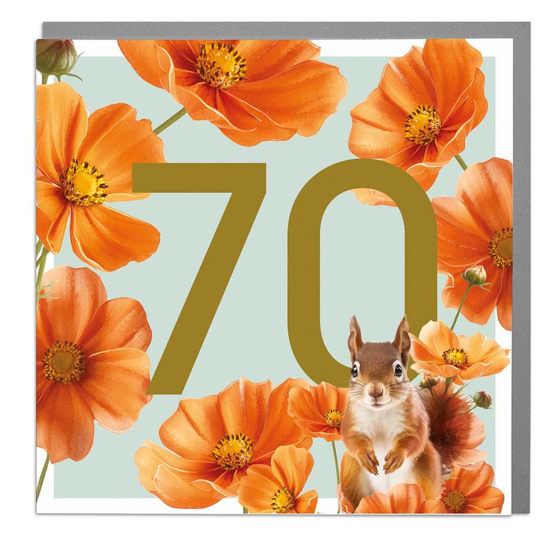 Age 70 Squirrel Greeting Card
