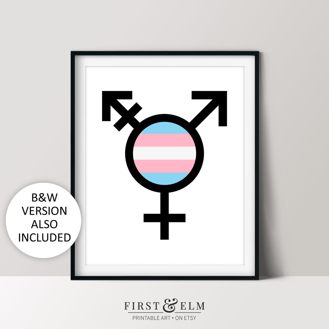 Transgender Symbol Pride Flag Colors Minimalist LGBTQ Wall Poster